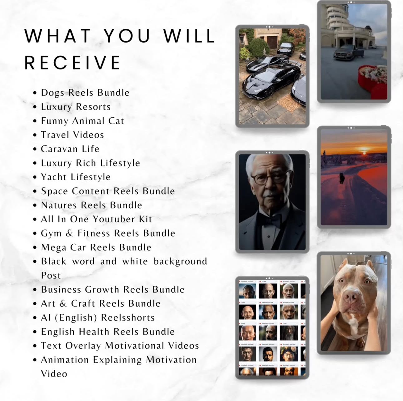 Ultimate Reel Vault The Largest Collection of 4K Viral Reels Across Every Niche